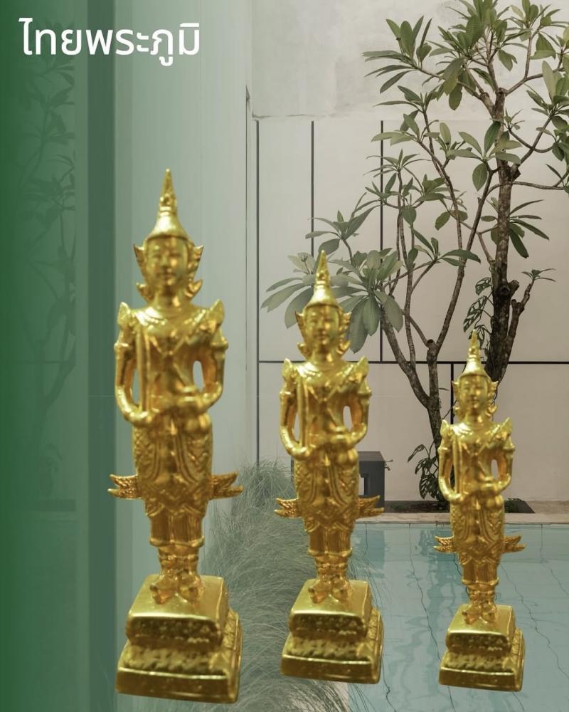 Portfolio Image